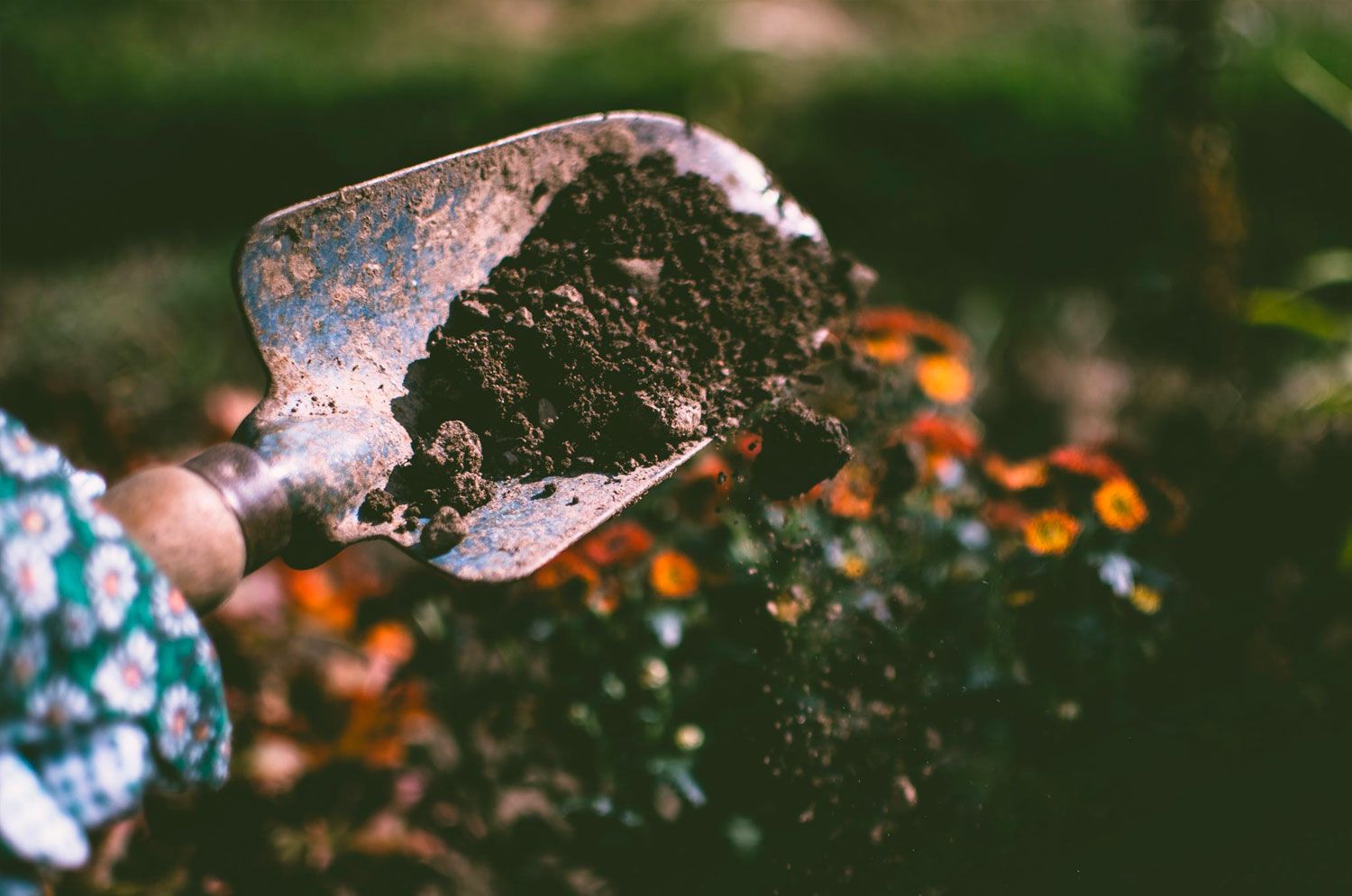 Professional Weeding & Landscape Maintenance Services | Honeycutt Landscaping, Inc Expert weeding service by Honeycutt Landscaping, Inc., removing unwanted plants and maintaining healthy, attractive gardens and landscapes for residential and commercial properties. Call (704) 389-0159 today to schedule professional weeding and landscape maintenance services with Honeycutt Landscaping, Inc., your trusted local outdoor care provider.